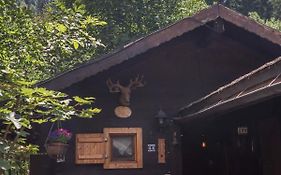 Le Chalet Du Petit Ours